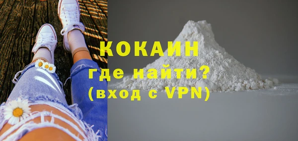 прущие грибы Надым