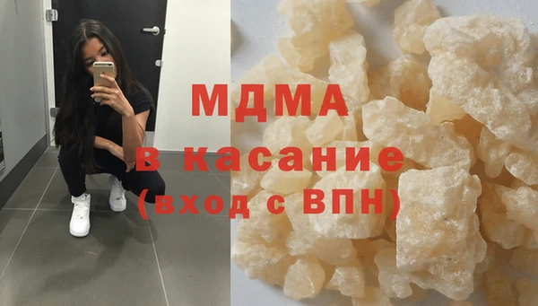 прущие грибы Надым