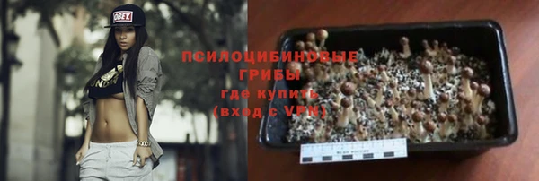 прущие грибы Надым