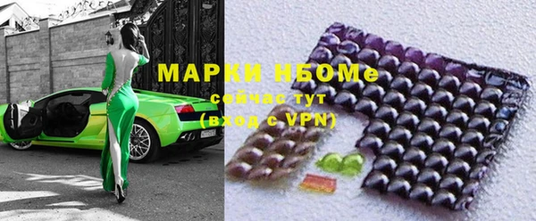 прущие грибы Надым