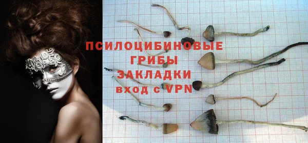каннабис Михайловка