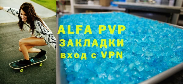 прущие грибы Надым