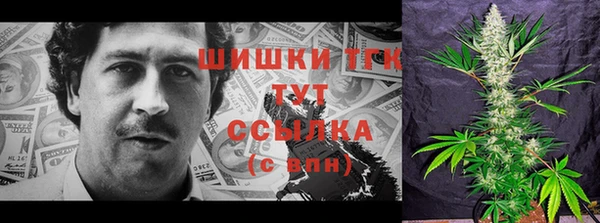 прущие грибы Надым