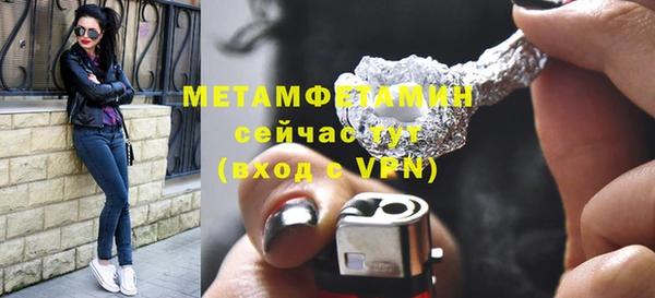 прущие грибы Надым