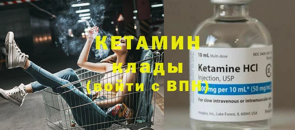 прущие грибы Надым