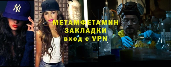 прущие грибы Надым