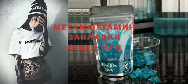 прущие грибы Надым