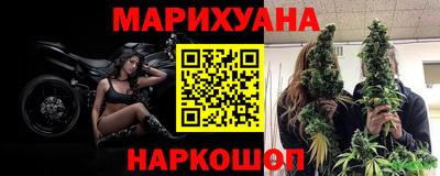 прущие крисы Бийск