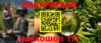 прущие крисы Бийск