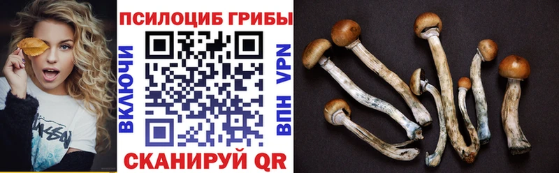 Галлюциногенные грибы Cubensis Владикавказ