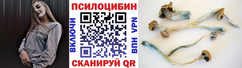 Галлюциногенные грибы GOLDEN TEACHER  KRAKEN сайт  Владикавказ 