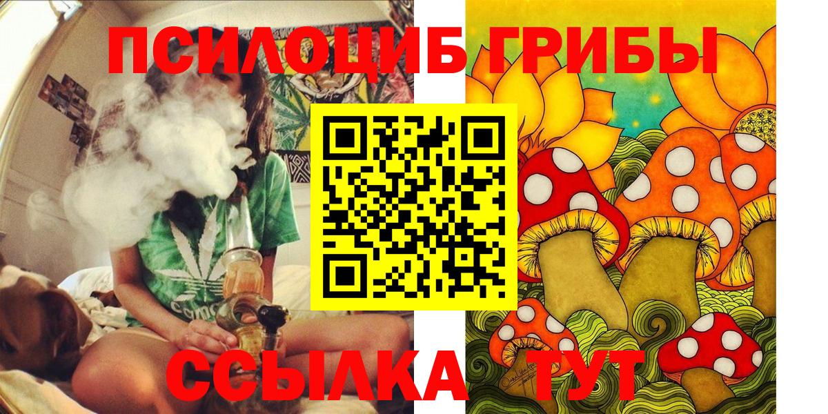 Галлюциногенные грибы GOLDEN TEACHER Владикавказ