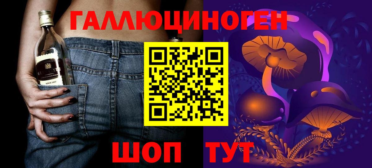 где найти   Владикавказ  Псилоцибиновые грибы Magic Shrooms 