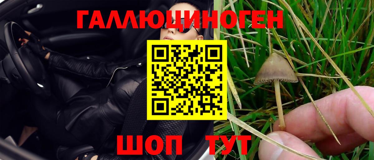 Галлюциногенные грибы Владикавказ