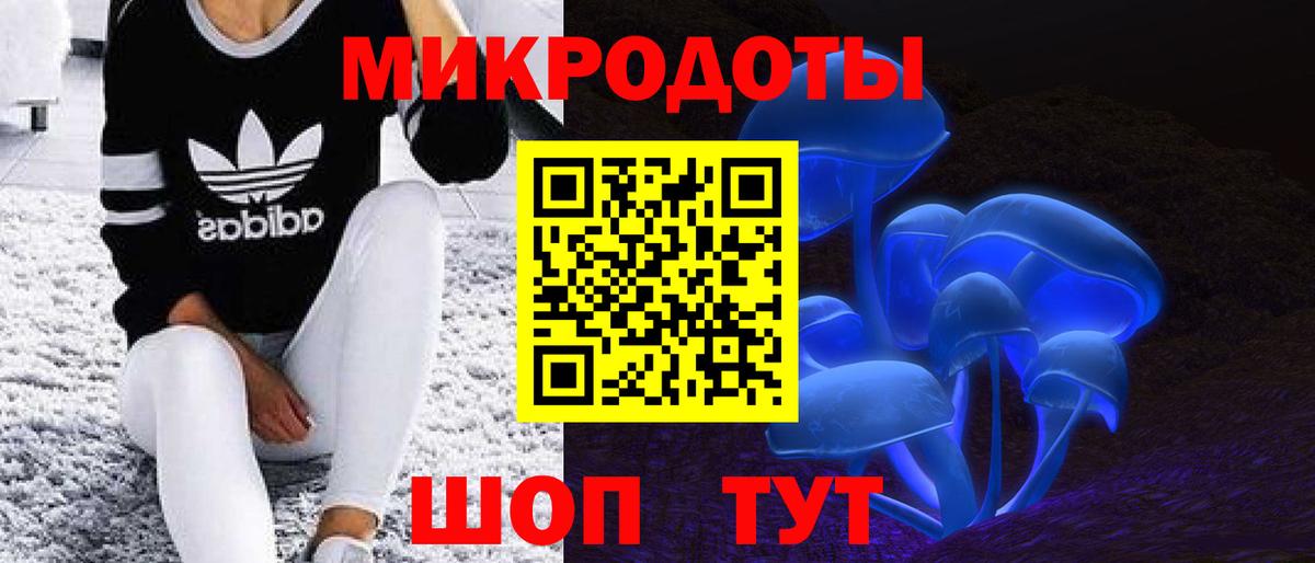 Галлюциногенные грибы Psilocybine cubensis Владикавказ